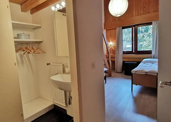 Soleil 20 Au Centre A Avec Vue Sur Les Alpes Appartement Anzère