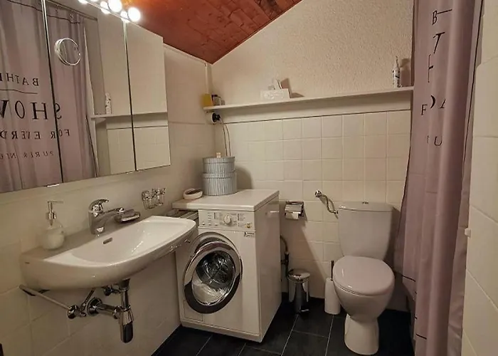 Soleil 20 Au Centre A Avec Vue Sur Les Alpes * אנזיר